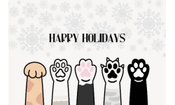 25020-Happy Meow