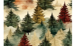 25027-Late Fall
