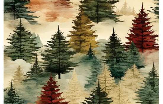 25027-Late Fall